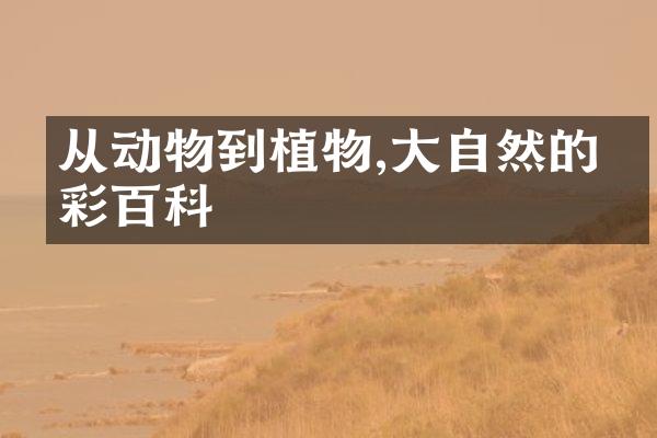从动物到植物,大自然的精彩百科