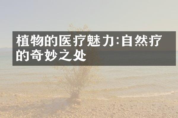 植物的医疗魅力:自然疗愈的奇妙之处