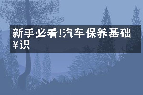 新手必看!汽车保养基础知识