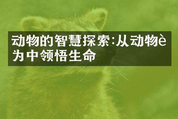 动物的智慧探索:从动物行为中领悟生命