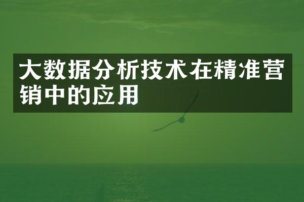 大数据分析技术在精准营销中的应用