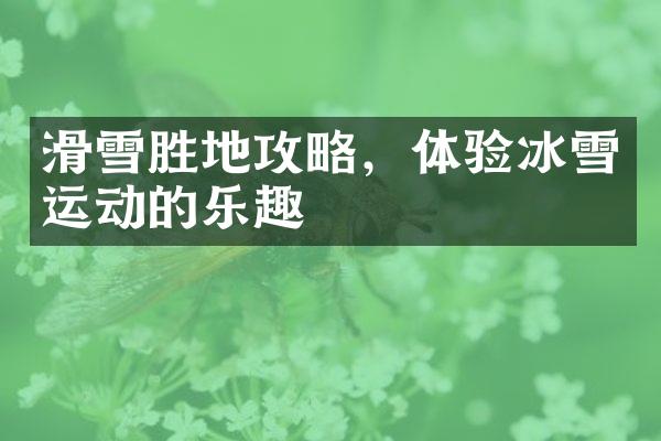滑雪胜地攻略，体验冰雪运动的乐趣