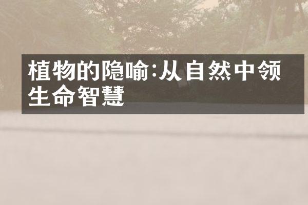植物的隐喻:从自然中领悟生命智慧