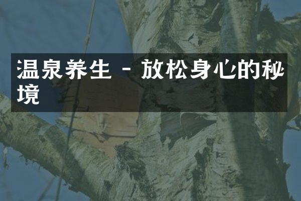 温泉养生 - 放松身心的秘境