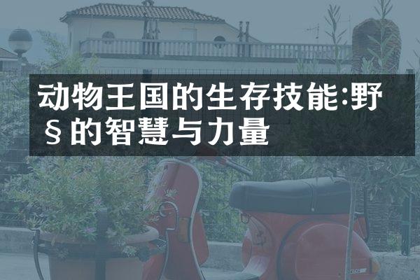 动物王国的生存技能:野性的智慧与力量