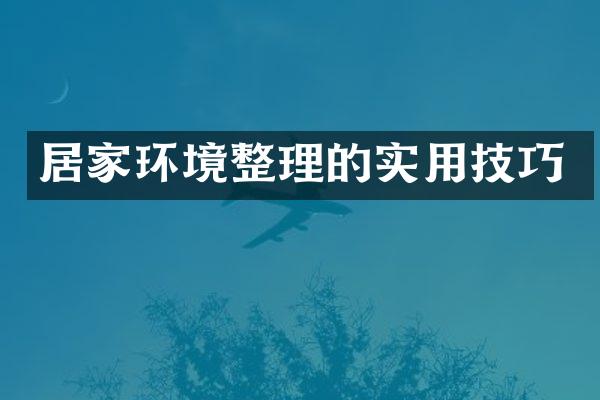 居家环境整理的实用技巧