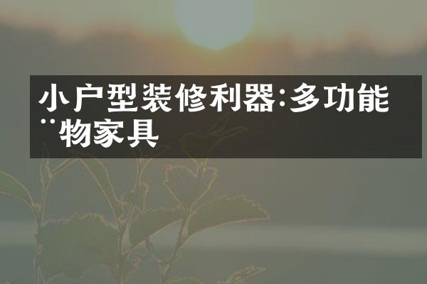 小户型装修利器:多功能储物家具