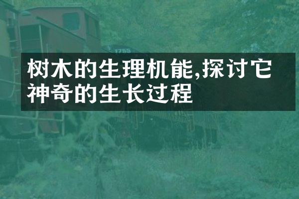 树木的生理机能,探讨它们神奇的生长过程