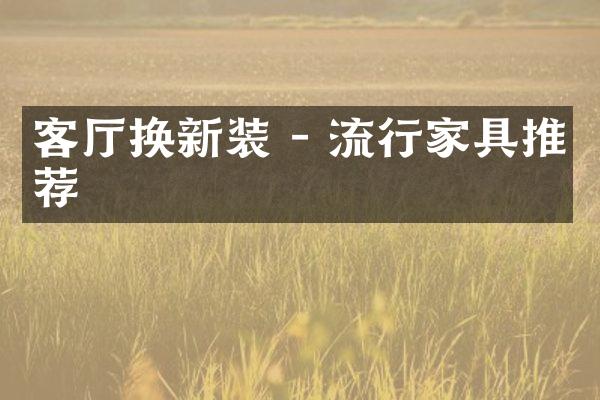客厅换新装 - 流行家具推荐