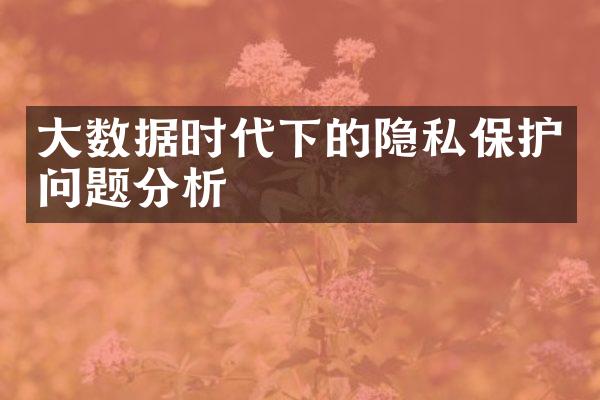 大数据时代下的隐私保护问题分析