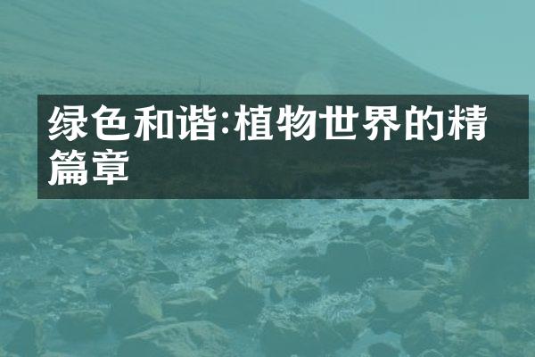 绿色和谐:植物世界的精彩篇章