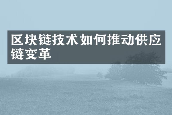 区块链技术如何推动供应链变革