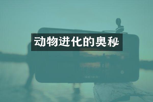动物进化的奥秘