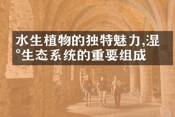 水生植物的独特魅力,湿地生态系统的重要组成