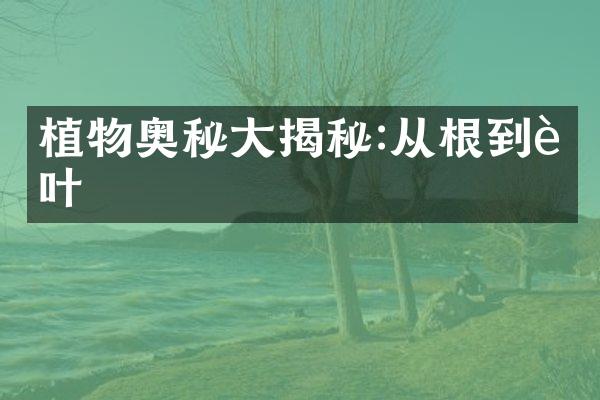 植物奥秘大揭秘:从根到茎叶