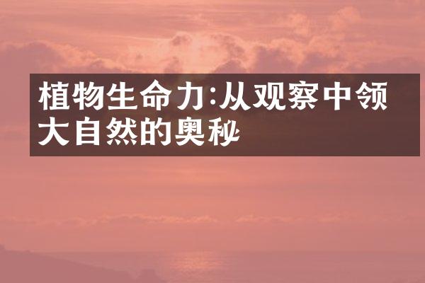 植物生命力:从观察中领悟大自然的奥秘