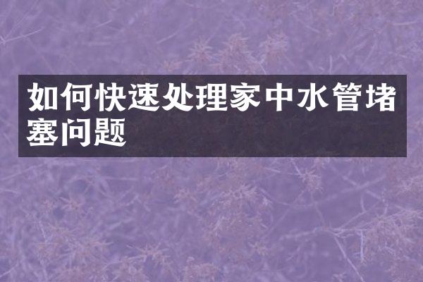 如何快速处理家中水管堵塞问题