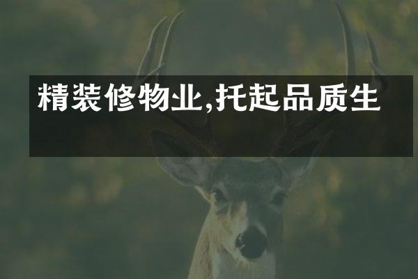 精装修物业,托起品质生活