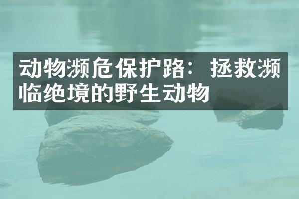 动物濒危保护路：拯救濒临绝境的野生动物
