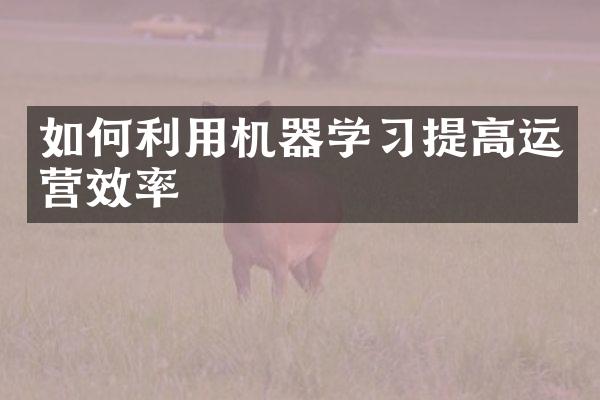 如何利用机器学习提高运营效率