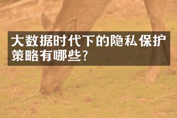 大数据时代下的隐私保护策略有哪些?