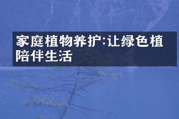 家庭植物养护:让绿色植物陪伴生活