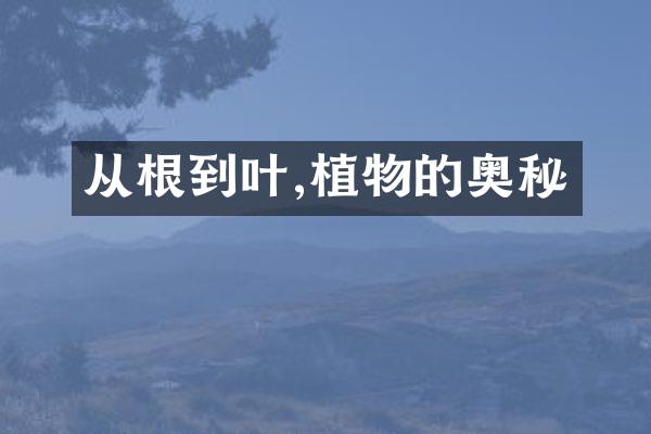 从根到叶,植物的奥秘