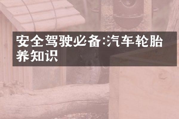 安全驾驶必备:汽车轮胎保养知识