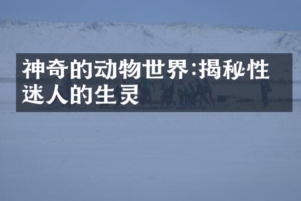 神奇的动物世界:揭秘性格迷人的生灵