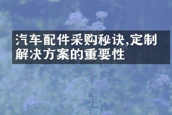 汽车配件采购秘诀,定制化解决方案的重要性
