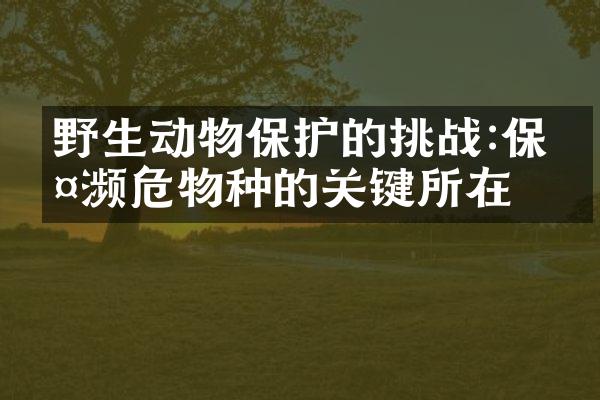 野生动物保护的挑战:保护濒危物种的关键所在
