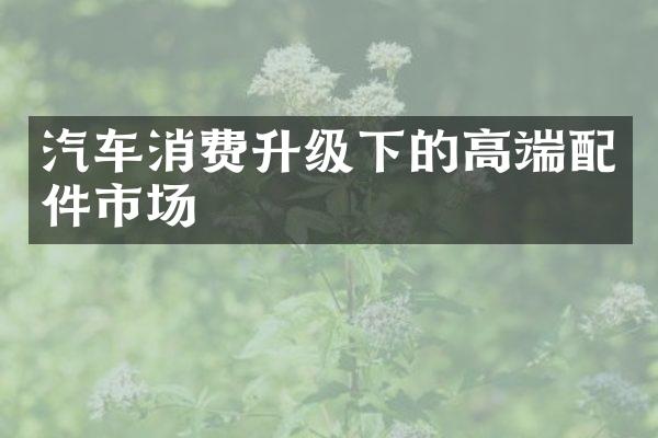汽车消费升级下的高端配件市场