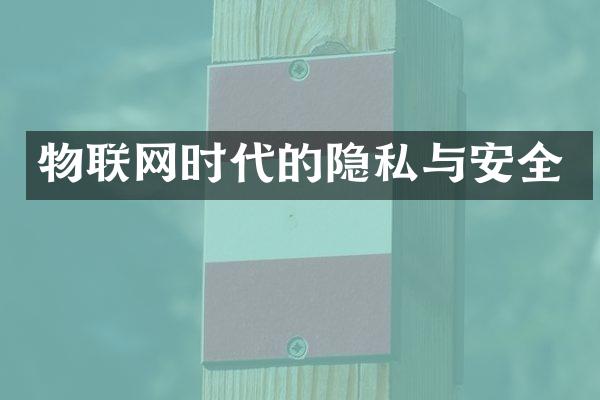 物联网时代的隐私与安全