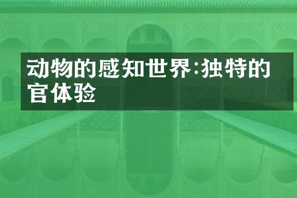 动物的感知世界:独特的感官体验