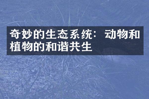 奇妙的生态系统：动物和植物的和谐共生