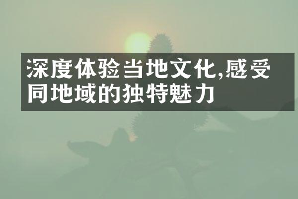 深度体验当地文化,感受不同地域的独特魅力