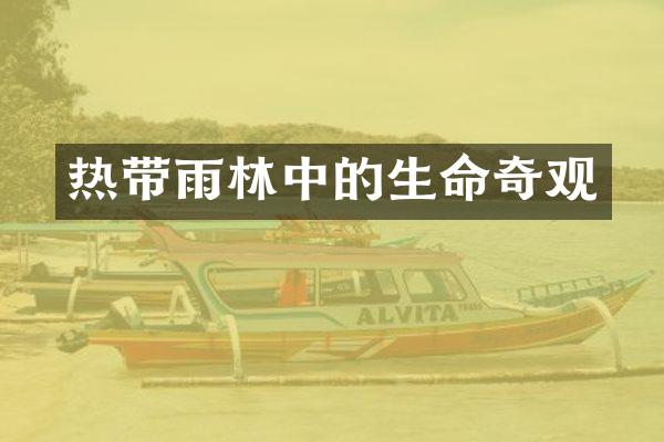 热带雨林中的生命奇观