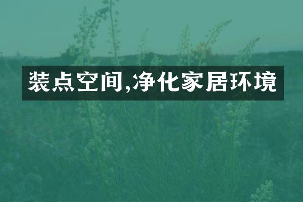 装点空间,净化家居环境