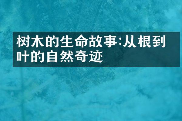 树木的生命故事:从根到枝叶的自然奇迹