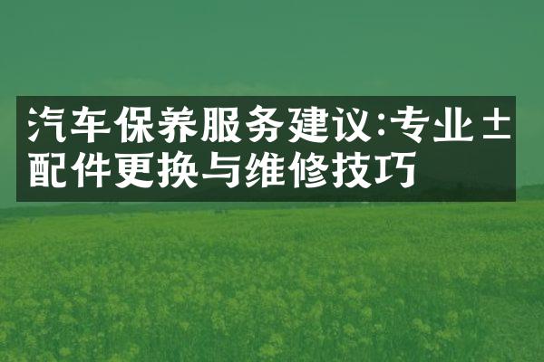 汽车保养服务建议:专业汽配件更换与维修技巧