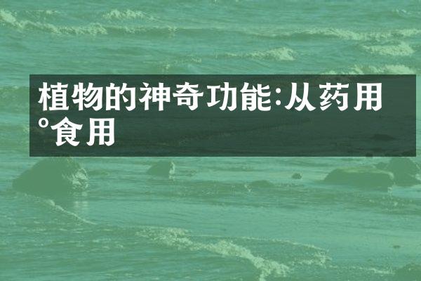植物的神奇功能:从药用到食用