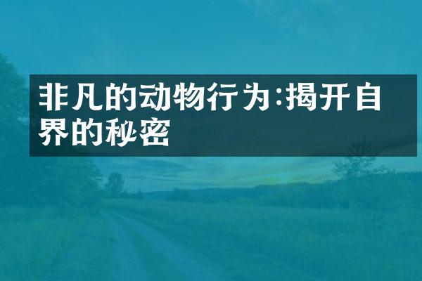 非凡的动物行为:揭开自然界的秘密