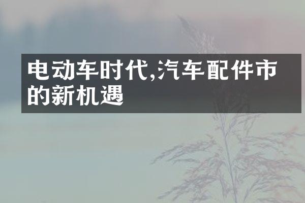 电动车时代,汽车配件市场的新机遇
