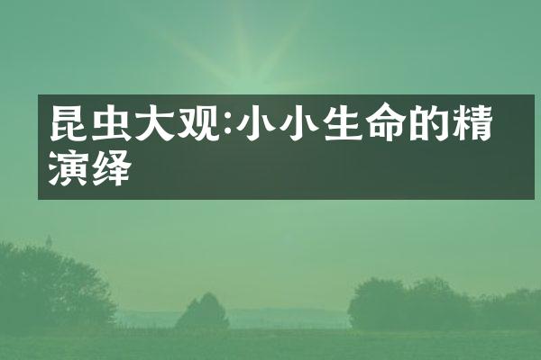 昆虫大观:小小生命的精彩演绎