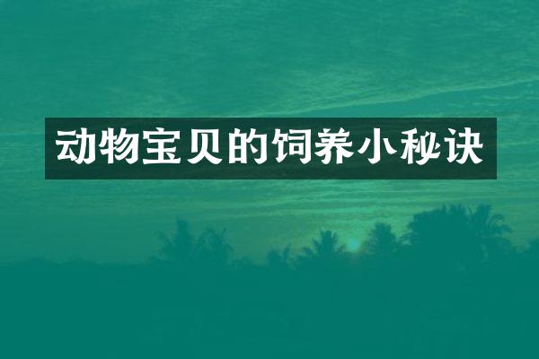 动物宝贝的饲养小秘诀