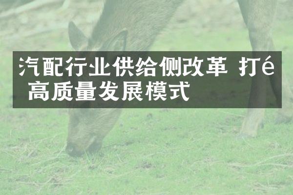 汽配行业供给侧改革 打造高质量发展模式
