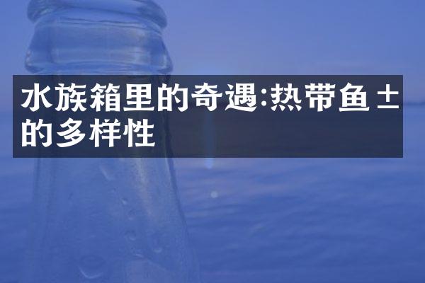 水族箱里的奇遇:热带鱼类的多样性