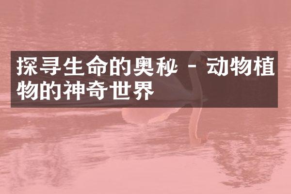 探寻生命的奥秘 - 动物植物的神奇世界