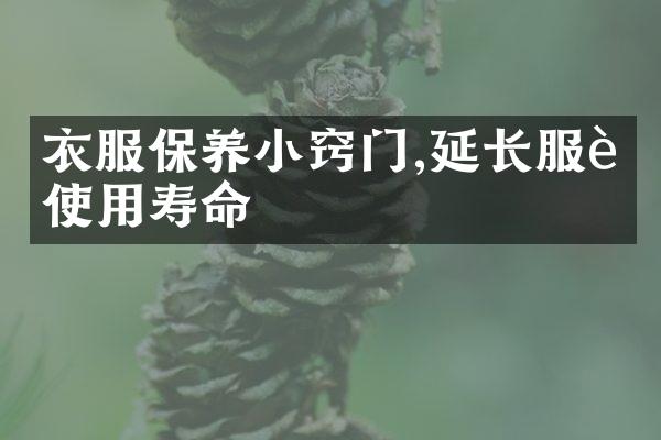 衣服保养小窍门,延长服装使用寿命