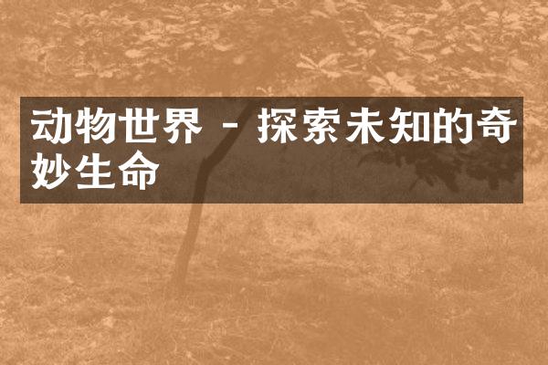 动物世界 - 探索未知的奇妙生命